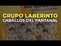 Grupo Laberinto - Caballos del Pantanal (Audio Oficial)