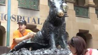 The Best Backpacker Job in Australia Kicks Off! The Best Backpacker Job in Australia Kicks Off!
