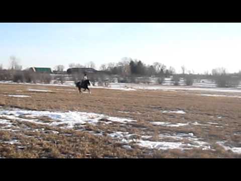 Serenity galloping [RAW CLIP]