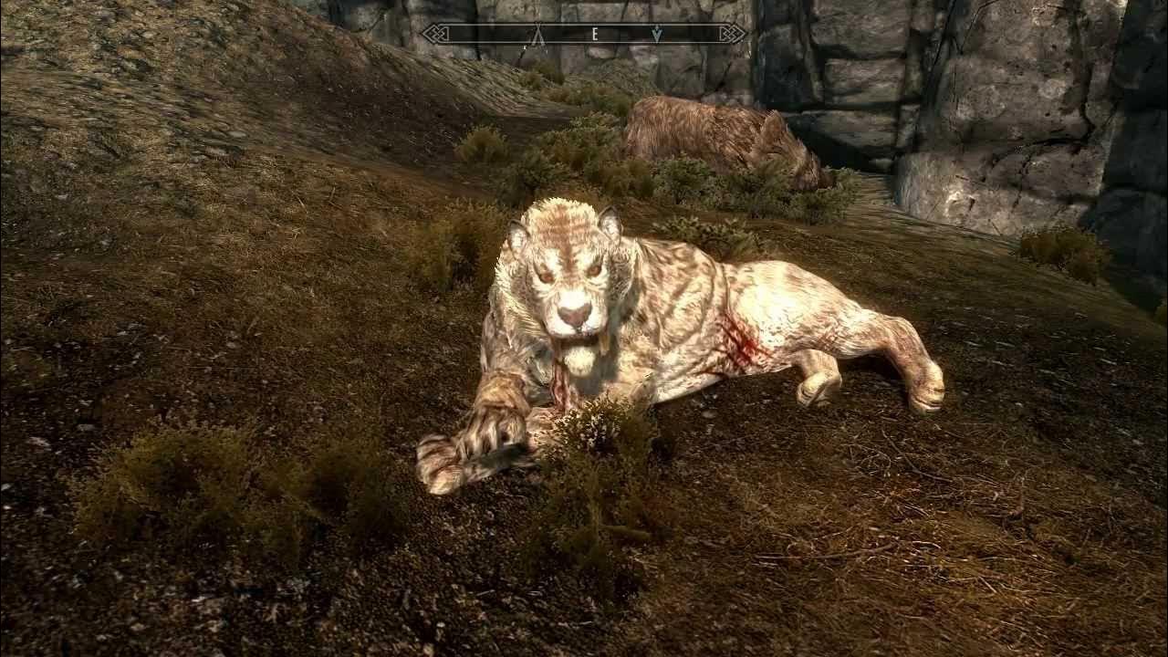 Собака в фолкрите. Саблезубый тигр скайрим. Моды на питомцев скайрим se. Мод на кошек в скайрим. Скайрим животные.