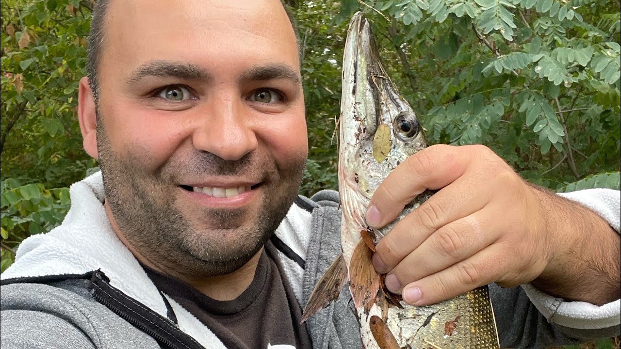 Щука на р. Орель! Самая чистая река Европы 😎 #осенняярыбалка #рыбалка # ...