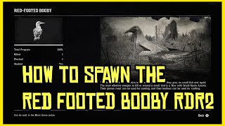 RDR2 Red Footed Booby Location On Guarma