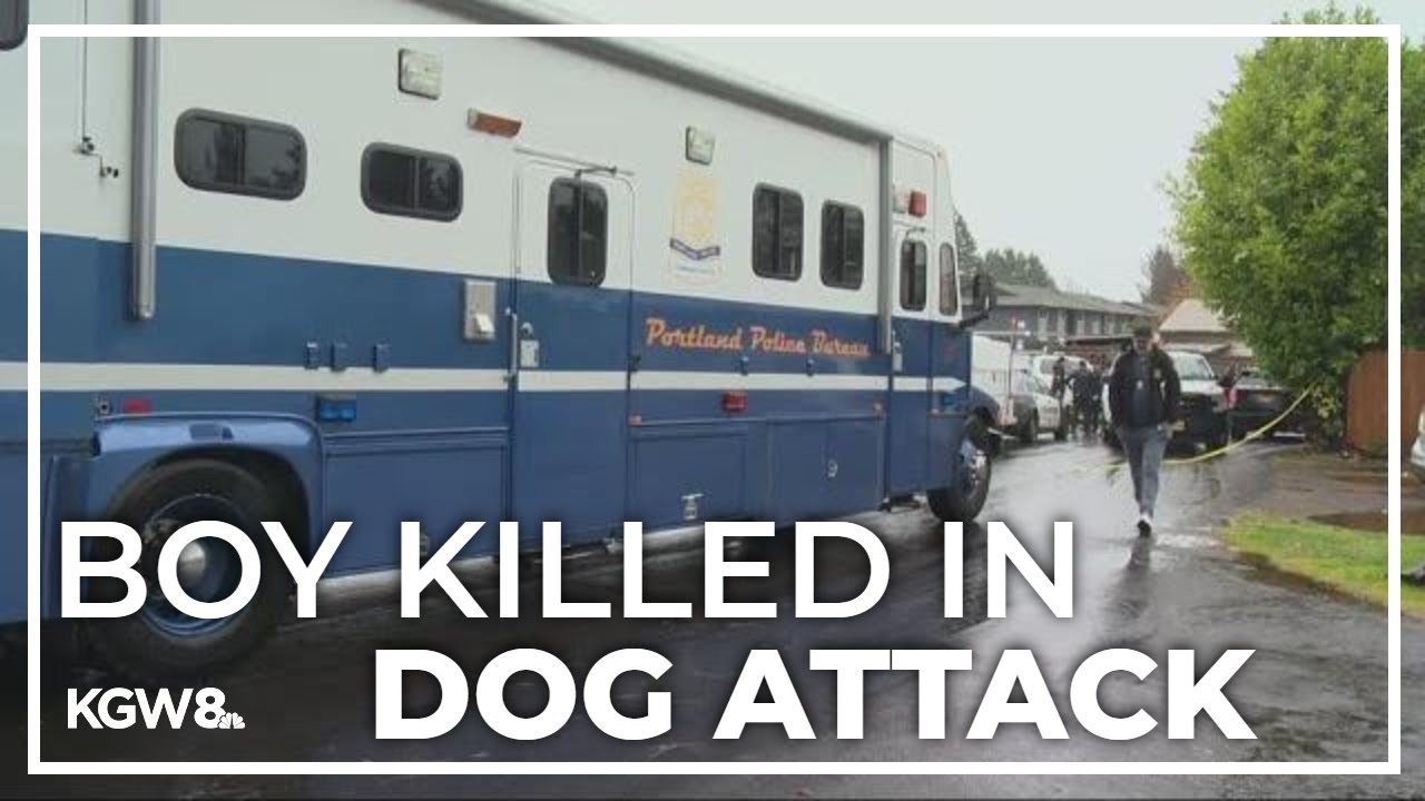 6-year-old boy dead from dog attack in Northeast Portland - YouTube