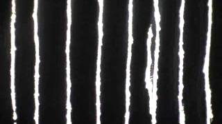 16MM Film Direct Animation.wmv