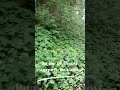 Не исполняя заповеди   что вы скажете тогда, Когда восстанет истина суда 17