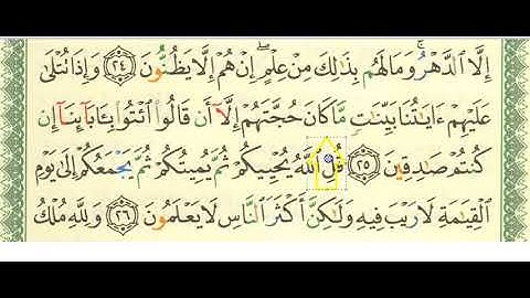 SURAH 45 سورة الجاثية AL-JATHIYAH AYAH 25 TO 26