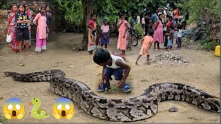Celebrity Giant Snake | Indian Stone Python | Viral Video 🐍 Net Worth