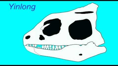 PL2: ORNITHISHIANS: CERATOPSIANS: YINLONG