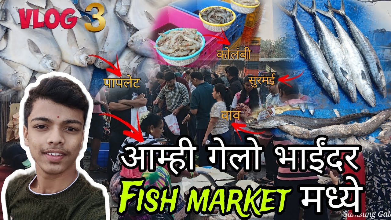 आम्ही गेलो भाईंदर fish market  मध्ये | मराठी youtuber | 🐠🦀😍