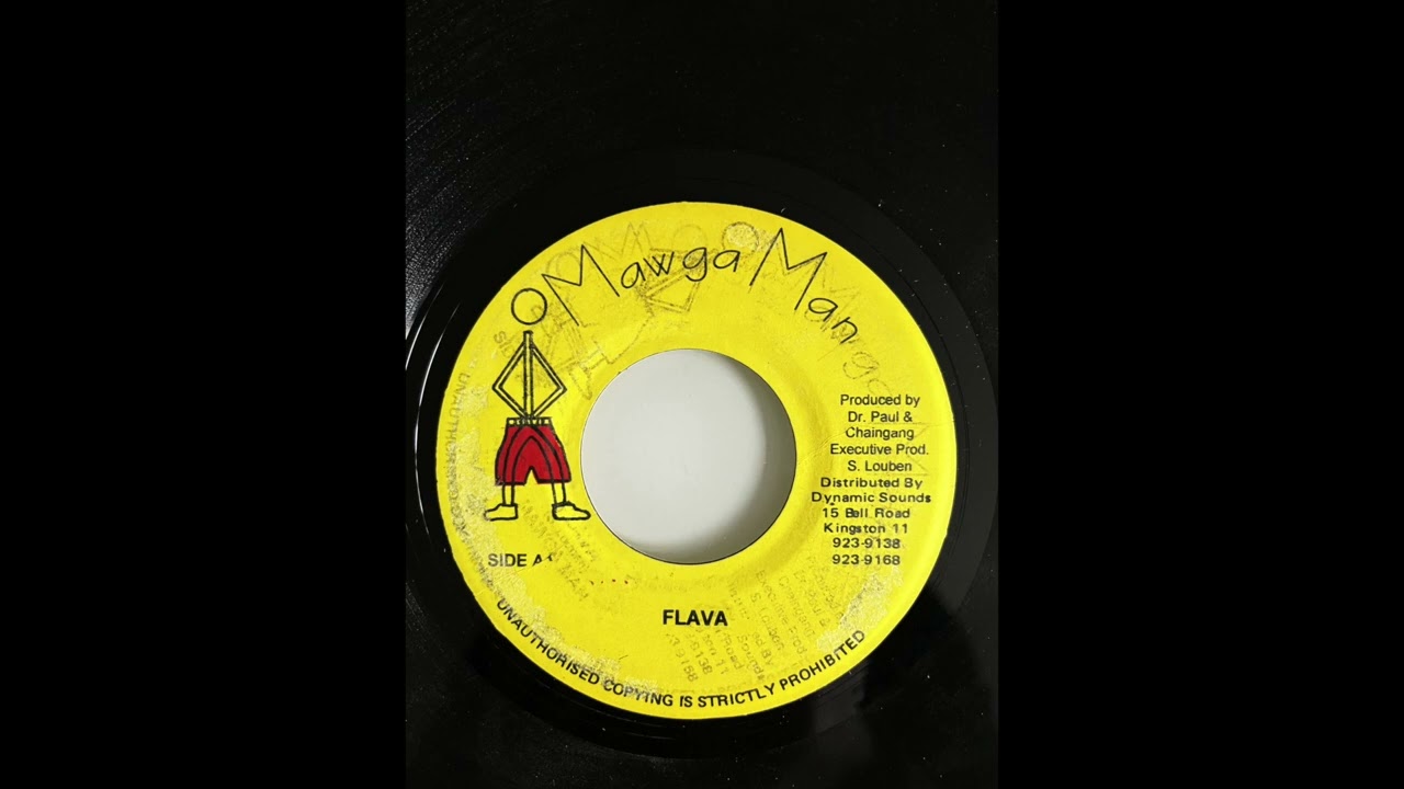 Flava Riddim Mix (Mawga Man, 1997)
