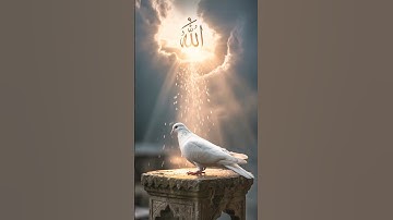القرآن الكريم #القارئ أحمد العجمي #المصحف