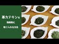 茶カテキンを効率的に取り入れる方法｜伊藤園｜OCHAプロジェクト｜食欲の秋