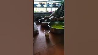 sayur bayam muncul diberabda kalian jam berapa? #fypシ゚viral #viral #shortsvideo #bayam #warteg