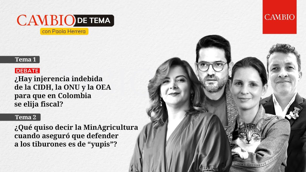 ONU, CIDH y OEA piden acelerar elección de fiscal en Colombia/Las ...