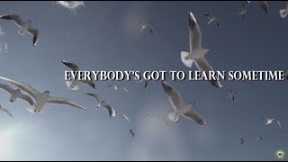 The Korgis - Everybody's Got To Learn Sometime [Lyrics]