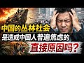 为什么中国人越来越焦虑？从丛林社会、中国教育到年轻人的生存困局，以及我们为什么必须生活在正常国家