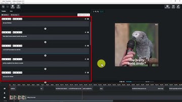 Streamr by Vidtoon: How to Transcribe & Translate a Video