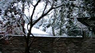 Snow 12-11-08 012.avi