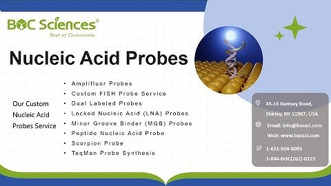 Nucleic Acid Hybridization and Probes - DNA Hybridization - Nucleotide Probes - BOC Sciences