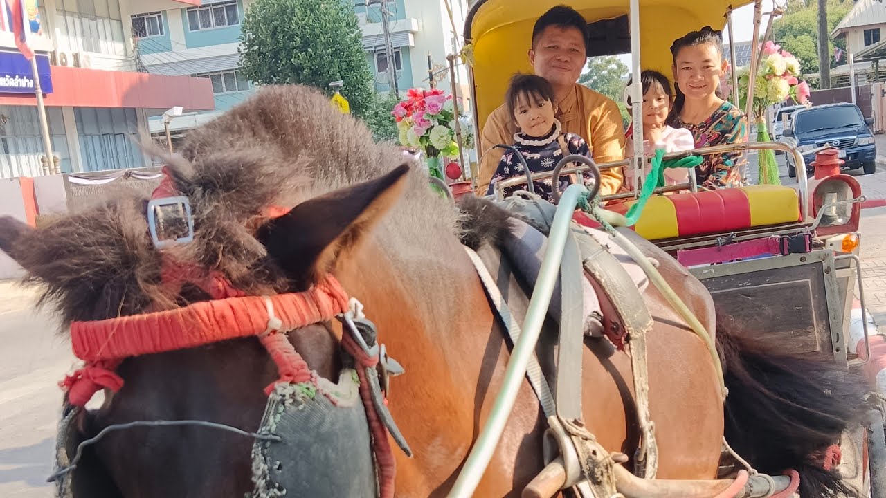 พาไปขี่รถม้าลำปาง อีหล่าน้อยมวนคัก