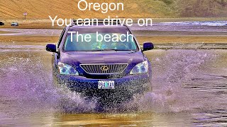 Driving on the beach McPhillips Beach, Cloverdale, Oregon. #Beach #Driving. by I Love to Explore Oregon 33 views 2 months ago 3 minutes, 43 seconds