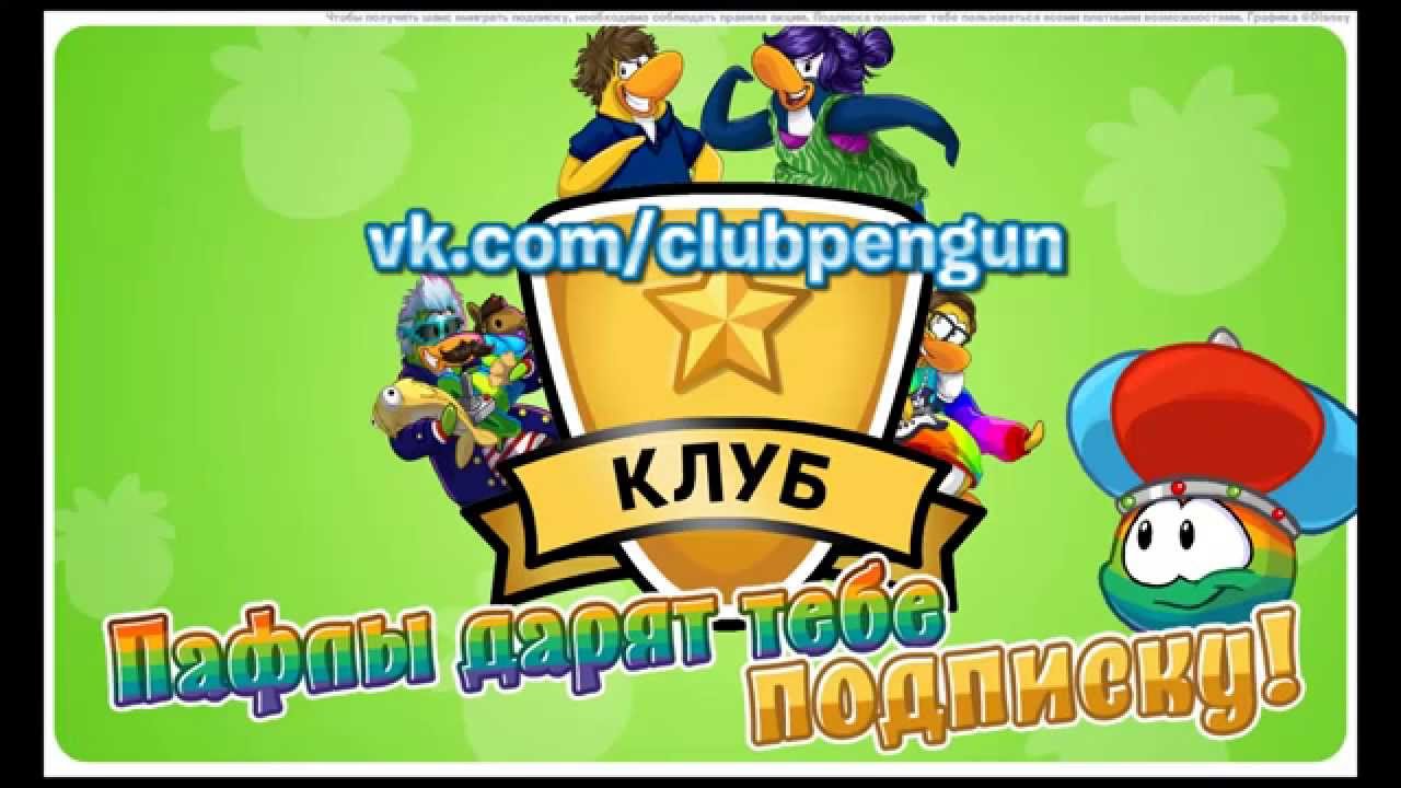 Клуб Пингвинов - подписка бесплатно - YouTube