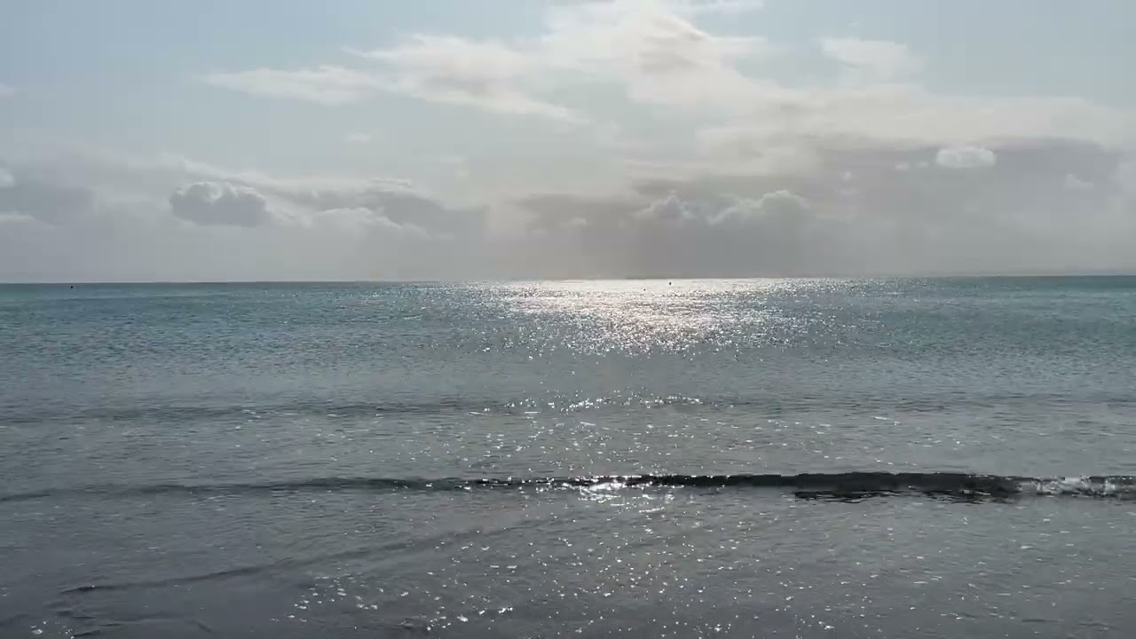 Quiet Morning by the Sea | Calm Ocean Waves and Soft Sunlight