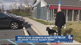 Rescue dogs celebrated during 'indoguration' party for Biden's dog 'Major'