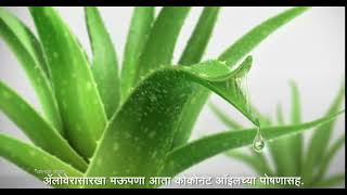 Hair So soft - (Baby) 10Sec Marathi screenshot 3