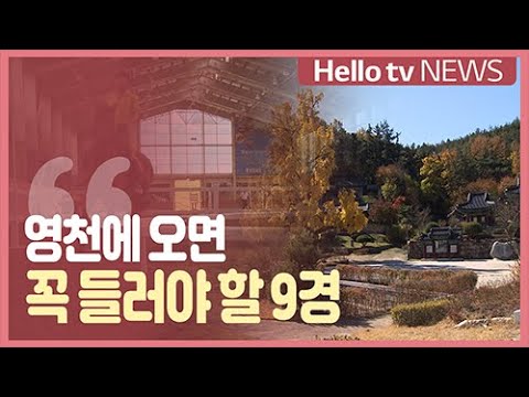 경북 영천시 여행사