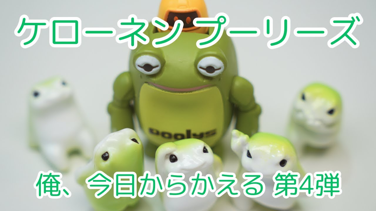 かくにんʚ(。• •。c )ɞ ~♡。 Added! I'm going to be a newbie starting today! - YouTube