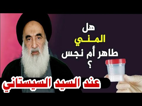 هل مني الرجل والمرأة نجس عند السيد السيستاني