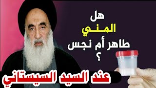 هل مني الرجل والمرأة نجس  عند السيد السيستاني ⁉️‼️⁉️