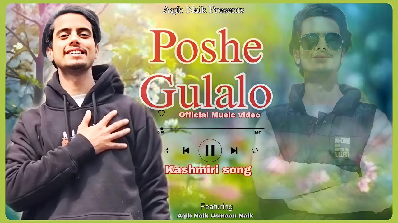 Poshe Gulalo  Choori Chooray  Kashmiri Song 2024  Latest Kashmiri Songs  Aqib Naik Presents