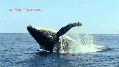 HD سورة الملك عبد الباسط عبد الصمد كاملة بصوت رائع سورة الملك