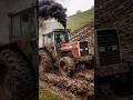 Massey Ferguson 590 — The 500-Series Workhorse