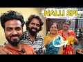 Back to     sunday spl  gowti sowbi  lattos kitchen  tamil vlog