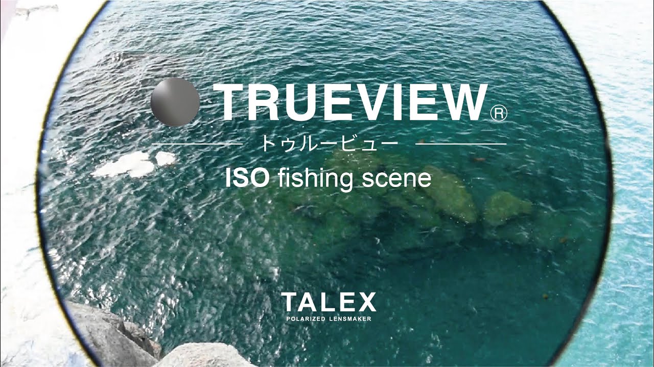 トゥルービューの見え方｜磯編【TALEX公式】 - YouTube