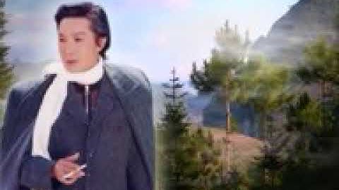 Tân  cổ  giao duyên mưa  bụi  vũ  linh hương  lan