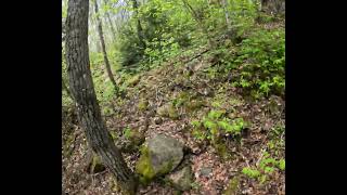 Timelapse of hike from North Wejin to Wejin Lake
