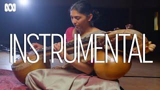 What makes the saraswati veena such a unique instrument? | Instrumental Resimi
