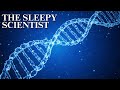 The Sleepy Scientist | How DNA Writes Your Story