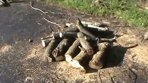 High Limb Chain Rope Job