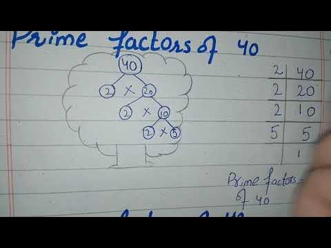 Factor Tree of 40|Prime Factorization of 40 - YouTube
