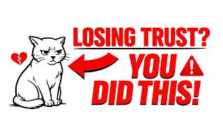 Why Your Cat Is Losing Trust in You (Hidden Mistakes) The Silent Language and Their Unspoken Rules