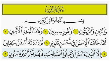 سورة التين للأطفال بصوت الشيخ المنشاوي