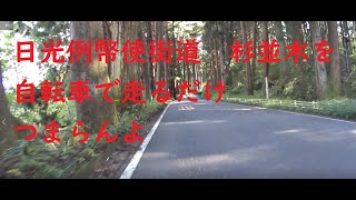 日光例幣使街道杉並木サイクリング