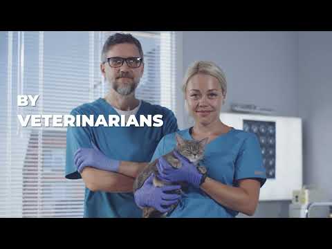 Vet Report Presentation-EN - video from Vet Report