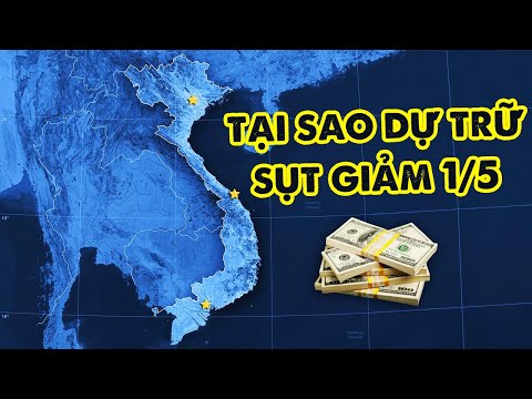 Video: Bạn có thể kiếm được bao nhiêu trong 