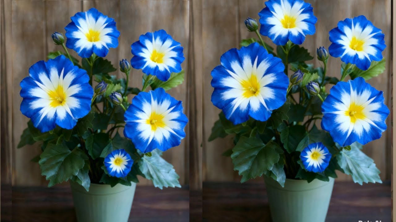 Как сделать красивый цветок из полиэтиленового пакета | Цветочные ремесла